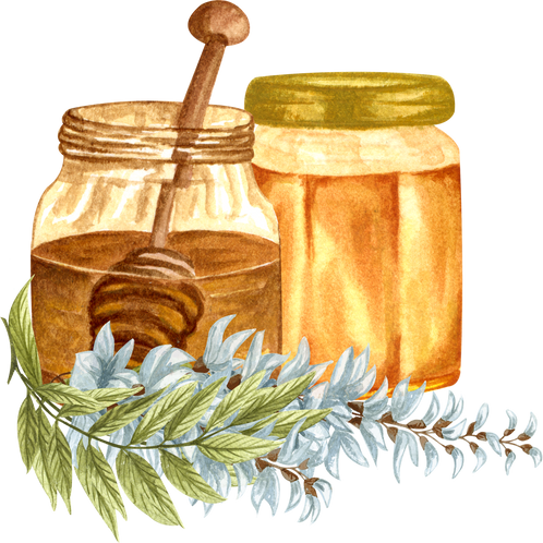 Watercolor Honey Illustration